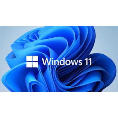 Win 11