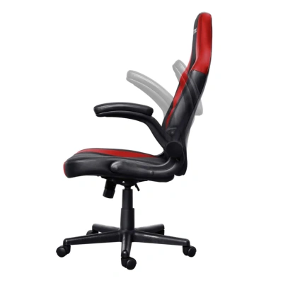 GXT 703 RIYE (Roja) - Image 4