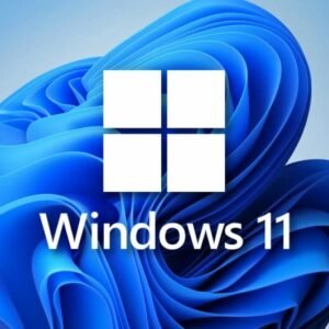 Paquete apps de Windows